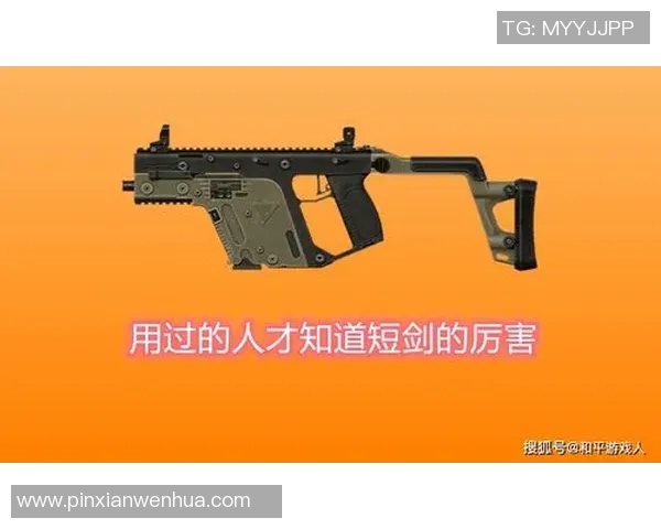 和平精英战术分析：深入探讨WE战队的区域防守策略与执行效果